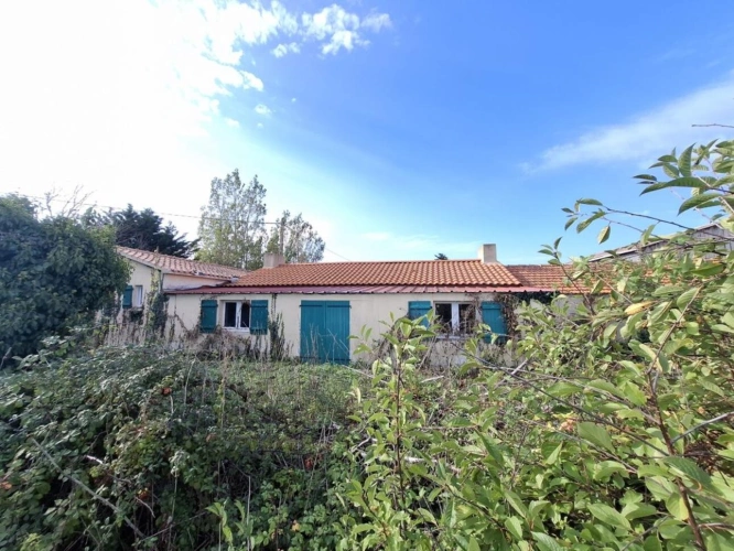 Photos 2 - Équestre - Domaine de 4,7 hectares à Notre-Dame-de-Monts