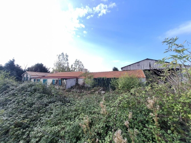 Photos 3 - Équestre - Domaine de 4,7 hectares à Notre-Dame-de-Monts