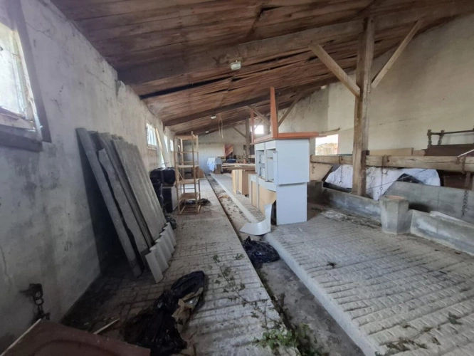 Photos 8 - Équestre - Domaine de 4,7 hectares à Notre-Dame-de-Monts