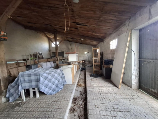 Photos 9 - Équestre - Domaine de 4,7 hectares à Notre-Dame-de-Monts