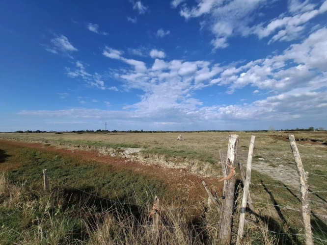 Photos 10 - Équestre - Domaine de 4,7 hectares à Notre-Dame-de-Monts