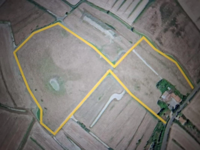 Photos 11 - Équestre - Domaine de 4,7 hectares à Notre-Dame-de-Monts