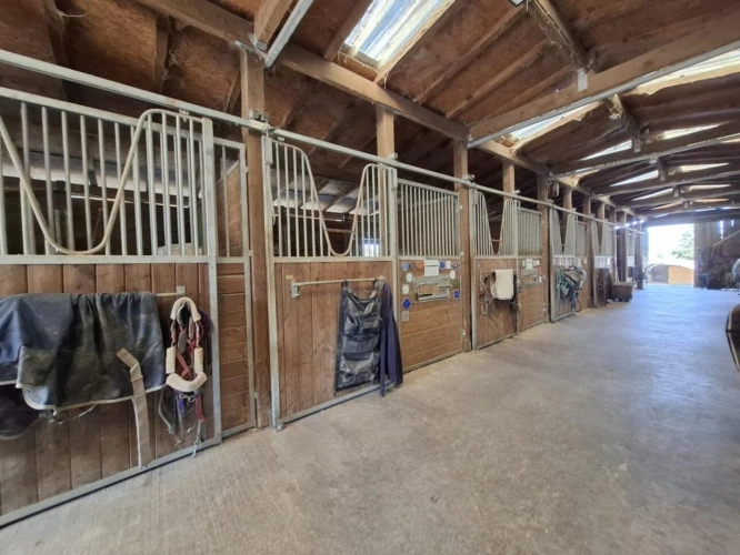 Photos 6 - Équestre - Propriété équestre de qualité en Corrèze - Maison 150 m²