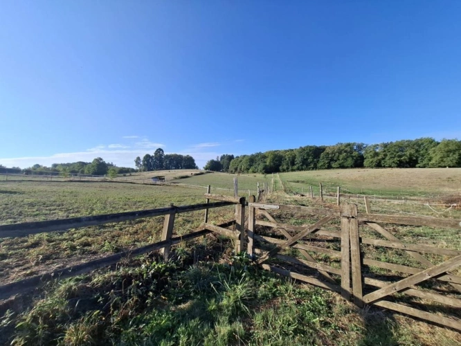 Photos 7 - Équestre - Propriété équestre de qualité en Corrèze - Maison 150 m²
