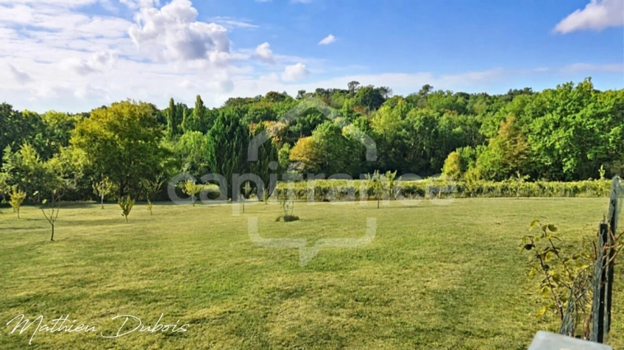 Photos 23 - Prestige - PROPRIÉTÉ DE CARACTÈRE – 3,35 HA DE NATURE, PISCINE ET GÎTE RÉNOVÉ