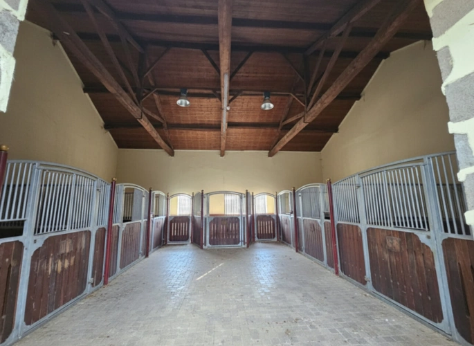 Photos 8 - Équestre - HARAS. PROPRIÉTÉ ÉQUESTRE D'EXCEPTION, 57 HA, INFRASTRUCTURES COMPLÈTES ET HABITATIONS