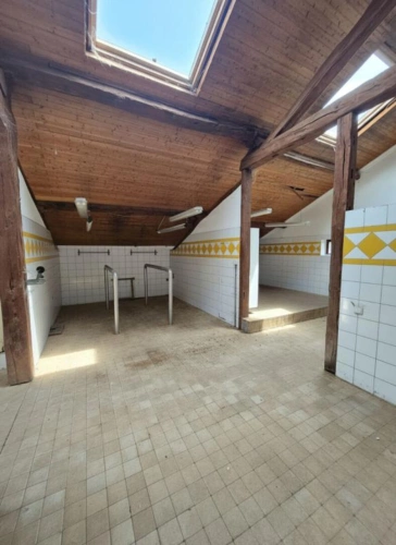 Photos 9 - Équestre - HARAS. PROPRIÉTÉ ÉQUESTRE D'EXCEPTION, 57 HA, INFRASTRUCTURES COMPLÈTES ET HABITATIONS
