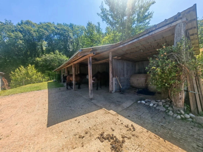 Photos 15 - Équestre - PROPRIÉTÉ IMMOBILIÈRE UNIQUE EN SAVOIE