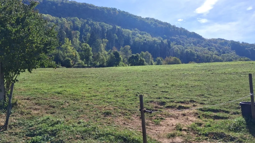 Photos 17 - Équestre - PROPRIÉTÉ IMMOBILIÈRE UNIQUE EN SAVOIE
