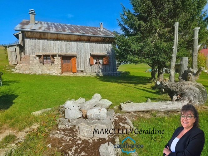 Photos 1 - Rurale - Maison à vendre 0 pièces BRIZON (74)