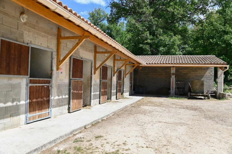 Photos 9 - Équestre - Luberon - DOMAINE ÉQUESTRE SUR 12 HECTARES