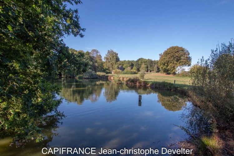 Photos 23 - Prestige - Propriete à vendre 7 pièces proche de MAYENNE (53) sur terrain de 2,3 hectares