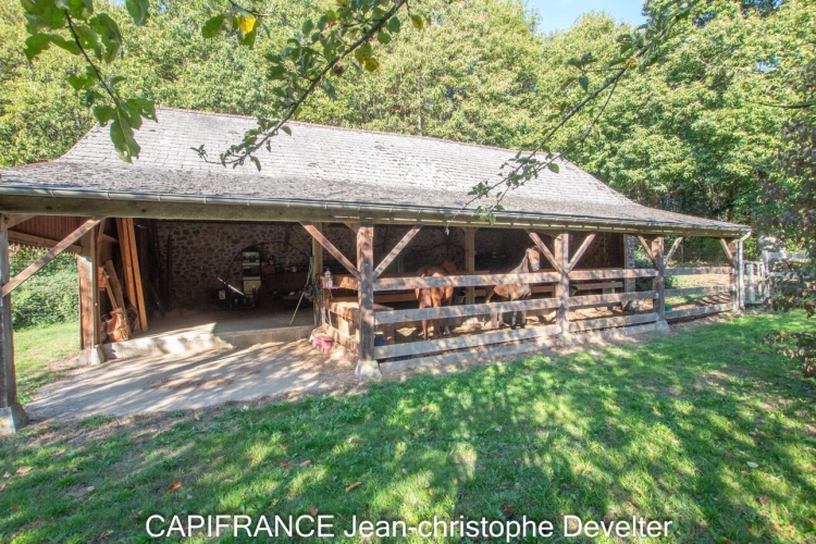 Photos 24 - Prestige - Propriete à vendre 7 pièces proche de MAYENNE (53) sur terrain de 2,3 hectares