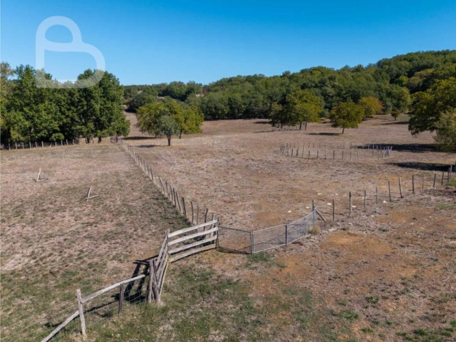 Photos 13 - Rural - Organic cheese farm on 15 ha with farmhouse and outbuildings