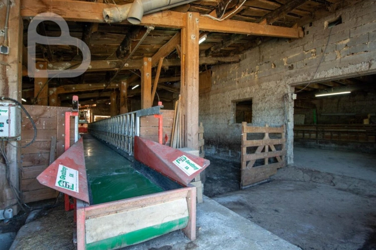 Photos 17 - Rural - Organic cheese farm on 15 ha with farmhouse and outbuildings