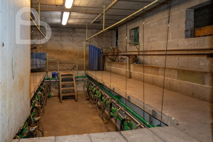 Photos 18 - Rural - Organic cheese farm on 15 ha with farmhouse and outbuildings