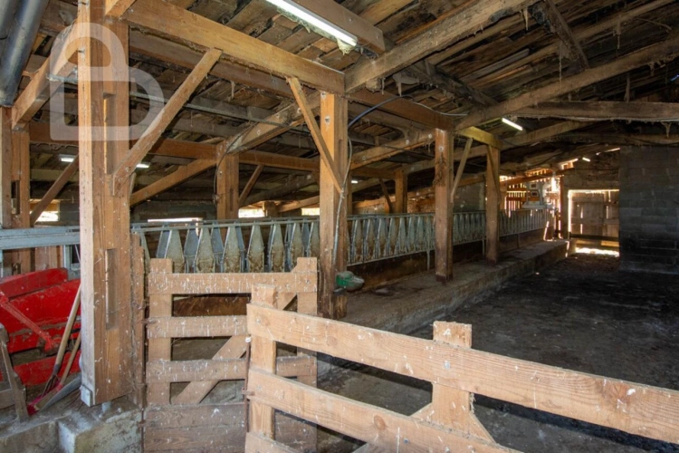 Photos 19 - Rural - Organic cheese farm on 15 ha with farmhouse and outbuildings