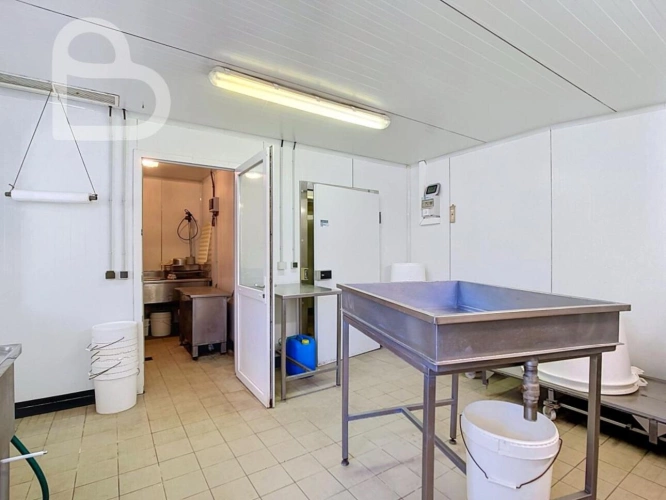 Photos 22 - Rural - Organic cheese farm on 15 ha with farmhouse and outbuildings