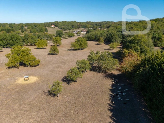 Photos 23 - Rural - Organic cheese farm on 15 ha with farmhouse and outbuildings