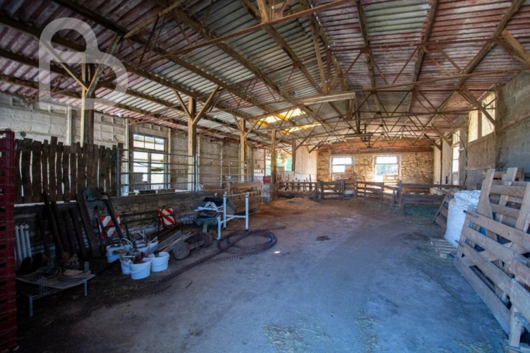 Photos 25 - Rural - Organic cheese farm on 15 ha with farmhouse and outbuildings