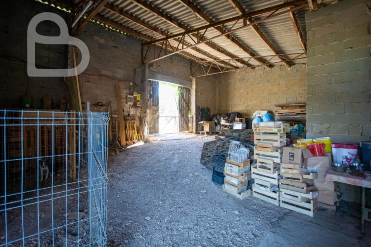 Photos 27 - Rural - Organic cheese farm on 15 ha with farmhouse and outbuildings