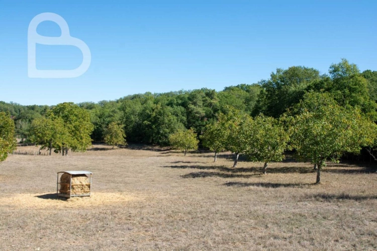 Photos 28 - Rural - Organic cheese farm on 15 ha with farmhouse and outbuildings