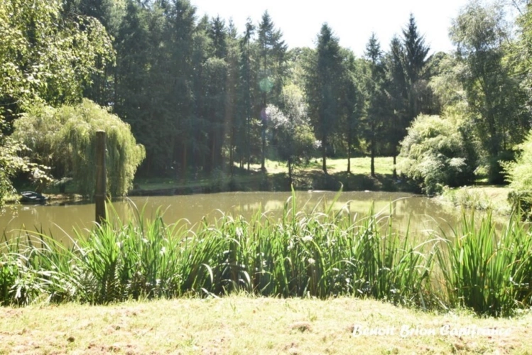 Photos 14 - Forestière - DOMAINE DE PÊCHE PRIVÉ AVEC CHALET ET ACTIVITÉ TOURISTIQUE – SAINT-JAMES