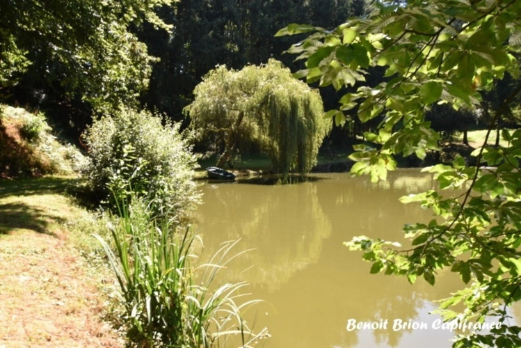 Photos 17 - Forestière - DOMAINE DE PÊCHE PRIVÉ AVEC CHALET ET ACTIVITÉ TOURISTIQUE – SAINT-JAMES