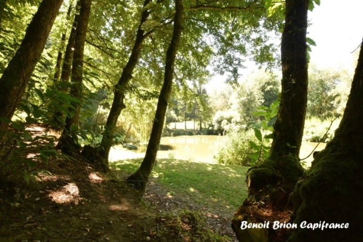 Photos 19 - Forestière - DOMAINE DE PÊCHE PRIVÉ AVEC CHALET ET ACTIVITÉ TOURISTIQUE – SAINT-JAMES
