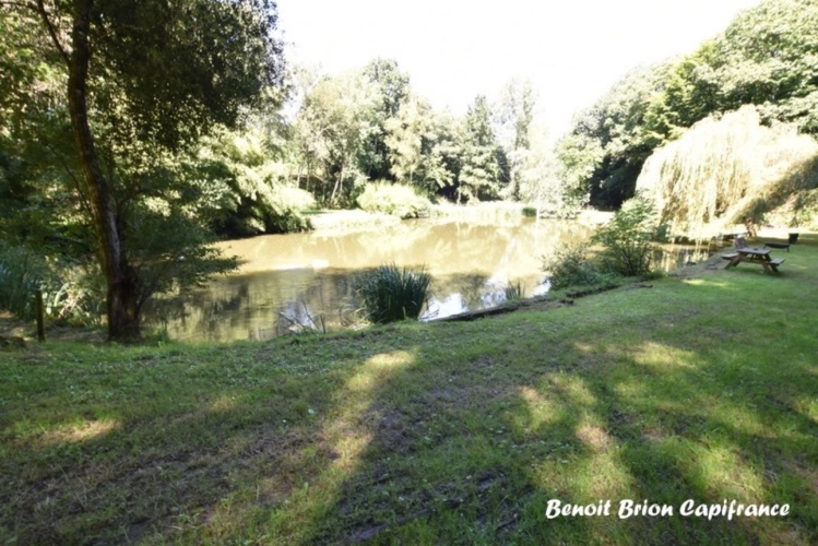 Photos 24 - Forestière - DOMAINE DE PÊCHE PRIVÉ AVEC CHALET ET ACTIVITÉ TOURISTIQUE – SAINT-JAMES