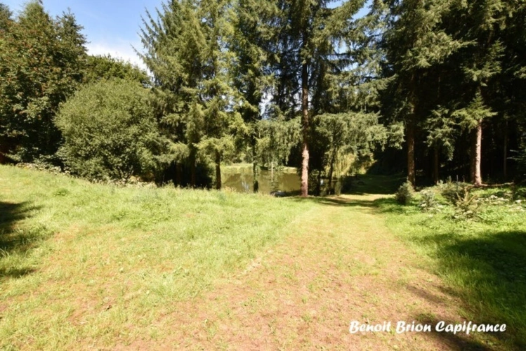Photos 25 - Forestière - DOMAINE DE PÊCHE PRIVÉ AVEC CHALET ET ACTIVITÉ TOURISTIQUE – SAINT-JAMES