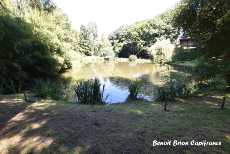 Photos 27 - Forestière - DOMAINE DE PÊCHE PRIVÉ AVEC CHALET ET ACTIVITÉ TOURISTIQUE – SAINT-JAMES