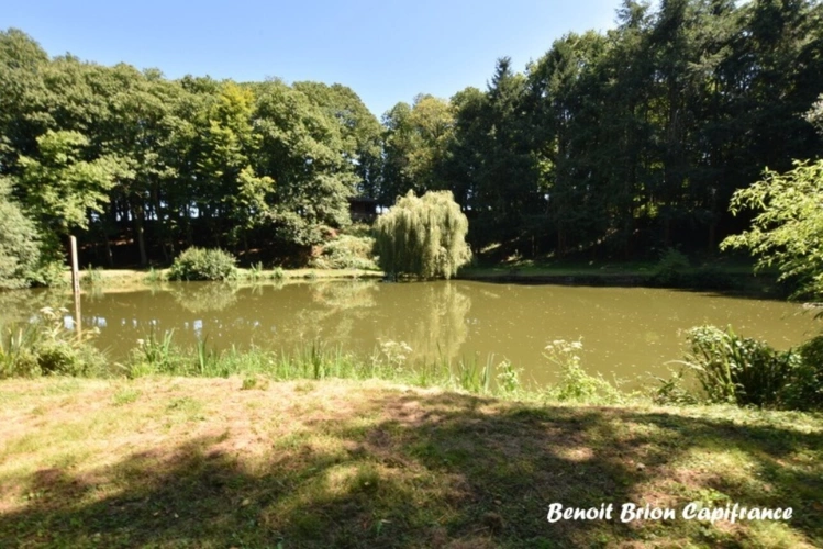 Photos 30 - Forestière - DOMAINE DE PÊCHE PRIVÉ AVEC CHALET ET ACTIVITÉ TOURISTIQUE – SAINT-JAMES
