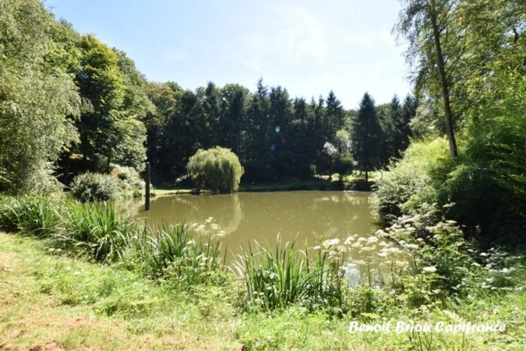 Photos 32 - Forestière - DOMAINE DE PÊCHE PRIVÉ AVEC CHALET ET ACTIVITÉ TOURISTIQUE – SAINT-JAMES