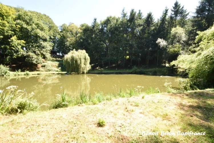 Photos 33 - Forestière - DOMAINE DE PÊCHE PRIVÉ AVEC CHALET ET ACTIVITÉ TOURISTIQUE – SAINT-JAMES
