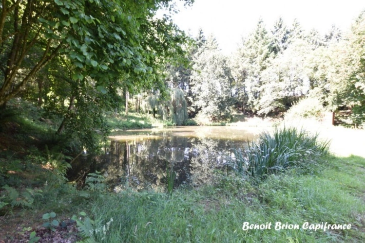 Photos 37 - Forestière - DOMAINE DE PÊCHE PRIVÉ AVEC CHALET ET ACTIVITÉ TOURISTIQUE – SAINT-JAMES