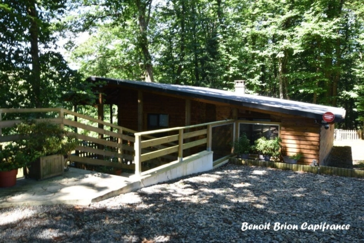 Photos 38 - Forestière - DOMAINE DE PÊCHE PRIVÉ AVEC CHALET ET ACTIVITÉ TOURISTIQUE – SAINT-JAMES