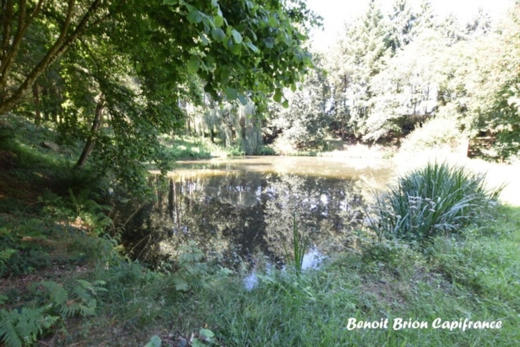 Photos 39 - Forestière - DOMAINE DE PÊCHE PRIVÉ AVEC CHALET ET ACTIVITÉ TOURISTIQUE – SAINT-JAMES
