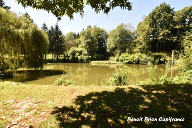 Photos 40 - Forestière - DOMAINE DE PÊCHE PRIVÉ AVEC CHALET ET ACTIVITÉ TOURISTIQUE – SAINT-JAMES