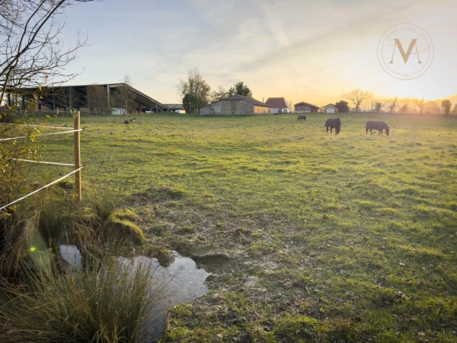 Photos 1 - Équestre - Propriete équestre avec 20ha d’un seul tenant proche de VILLEREAL (47)