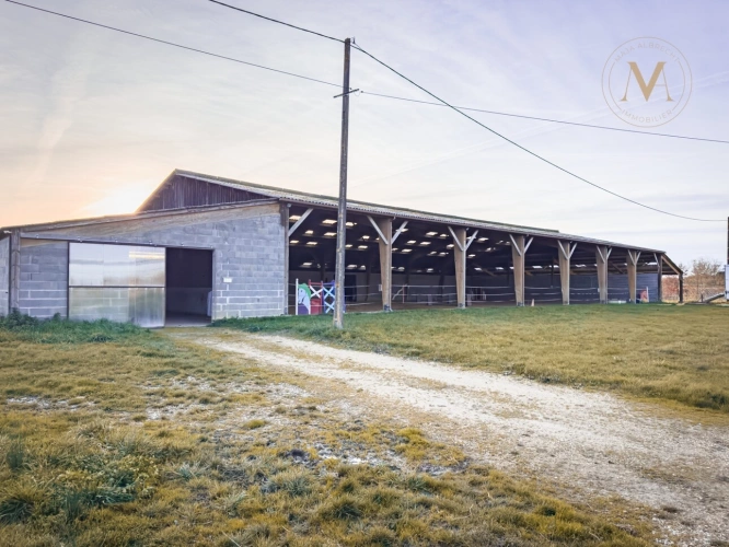Photos 4 - Équestre - Propriete équestre avec 20ha d’un seul tenant proche de VILLEREAL (47)