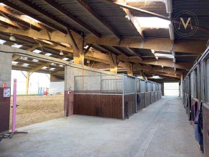 Photos 5 - Équestre - Propriete équestre avec 20ha d’un seul tenant proche de VILLEREAL (47)