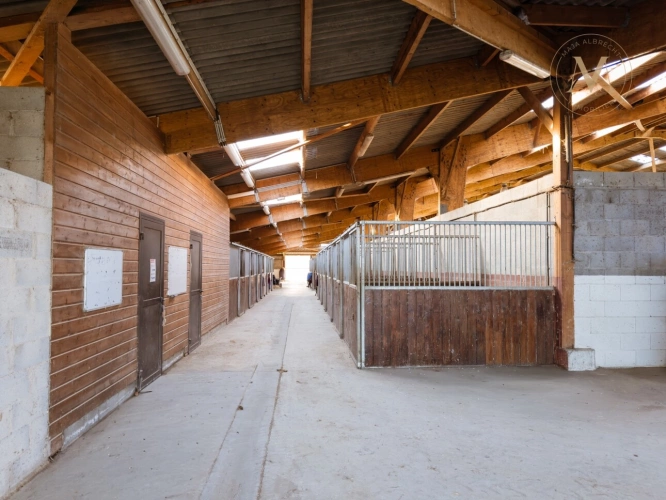 Photos 6 - Équestre - Propriete équestre avec 20ha d’un seul tenant proche de VILLEREAL (47)