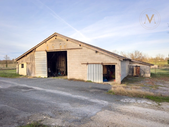 Photos 9 - Équestre - Propriete équestre avec 20ha d’un seul tenant proche de VILLEREAL (47)