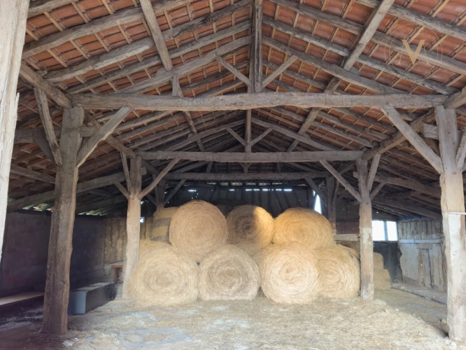 Photos 10 - Équestre - Propriete équestre avec 20ha d’un seul tenant proche de VILLEREAL (47)