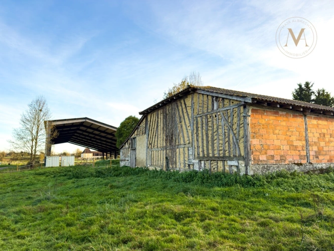 Photos 11 - Équestre - Propriete équestre avec 20ha d’un seul tenant proche de VILLEREAL (47)