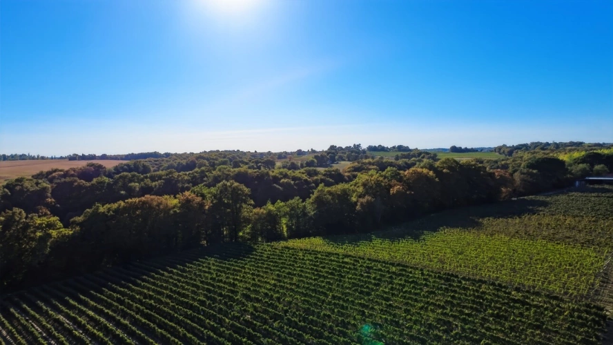 Photos 2 - Prestige - 8,5 hectares de bois PARLEBOSCQ (40)