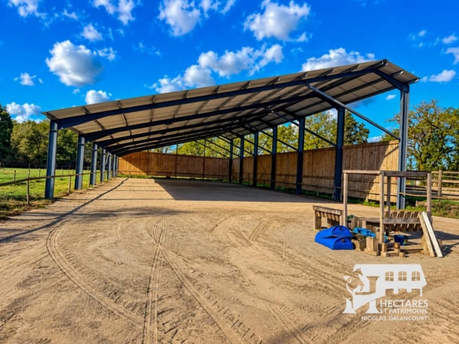 Photos 4 - Équestre - PROPRIÉTÉ ÉQUESTRE   9 HECTARES   MAISON 134 M2   MANÈGE   C