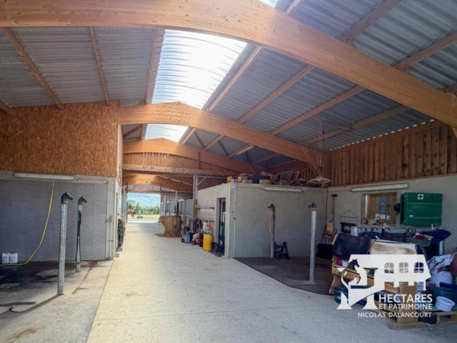 Photos 2 - Equestrian - PROPRIÉTÉ ÉQUESTRE  14,5 HA  MAISON RÉNOVÉE  INSTALLATIONS R