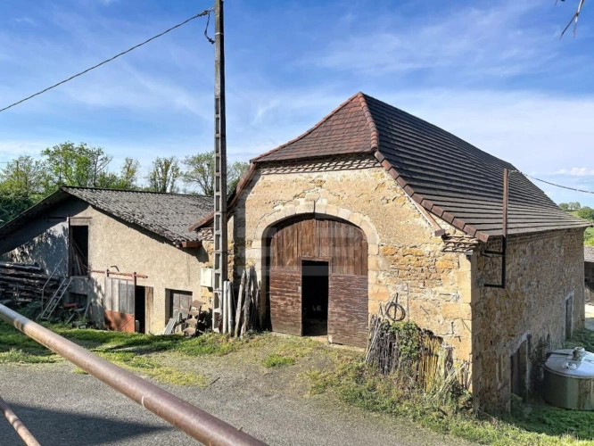 Photos 8 - Agricole - Bovine